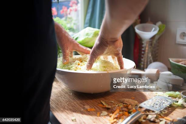 man making home fermented sauerkraut: mixing the ingredients - choucroute stock-fotos und bilder