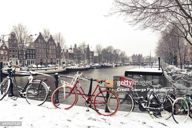 bicycles in snow in amsterdam, netherlands - nieuwe kerk amsterdam stock pictures, royalty-free photos & images