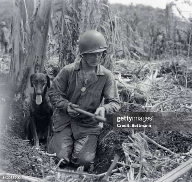 Guam: Digging Foxhole For Two On Guam. Marine dog. Pfc. E. W. Adamski, of Chicago, one of the boys who are helping kick the Japs off Guam, is digging...