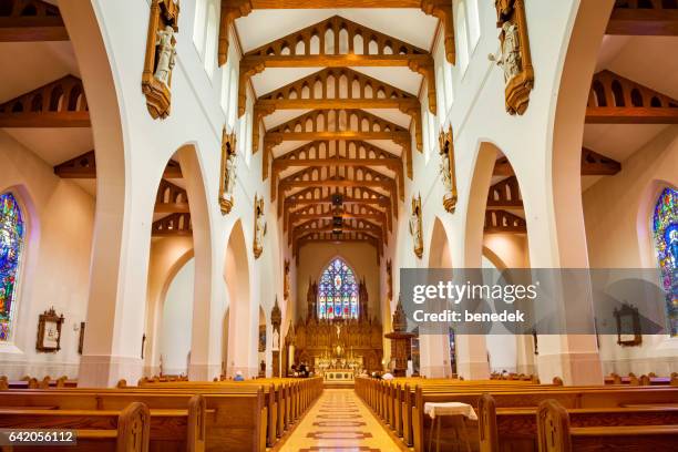 cathedral of the immaculate conception saint john new brunswick canada - cathedral stock pictures, royalty-free photos & images