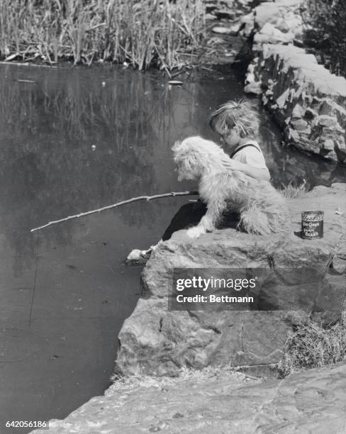 American Pastoral. La Mesa, California: Tow-headed Linda Dodds and her shaggy pal, Sandy, wait patiently for a bite as they spend a quiet day in the...
