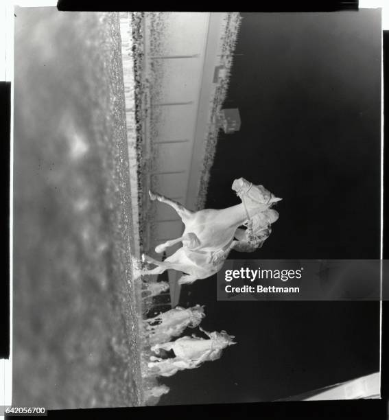 Eddie Arcaro rides his mount, Helmville, to victory, as he wins his first race since being put out of action by a bad spill, at Belmont Park, July...