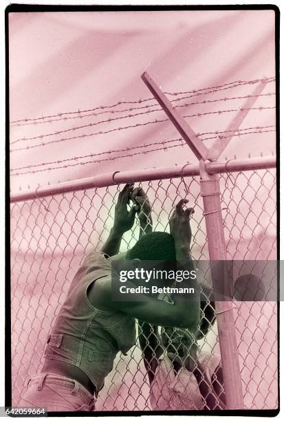 Miami, Florida-The Immigration and naturalization Service Krome Avenue North camp, where this married Haitian couple manages a few moments together...