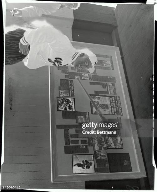 Mighty Mickey Mantle, New York Yankee outfielder is shown looking over a display of the bat and ball with which he hit the longest home-run in Major...