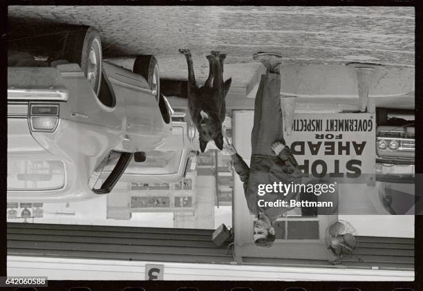 Charles Art and narco-dog "Bomber" walk among autos waiting to enter the United States from Canada, at the Detroit-Windor Tunnel. Part of Art's...