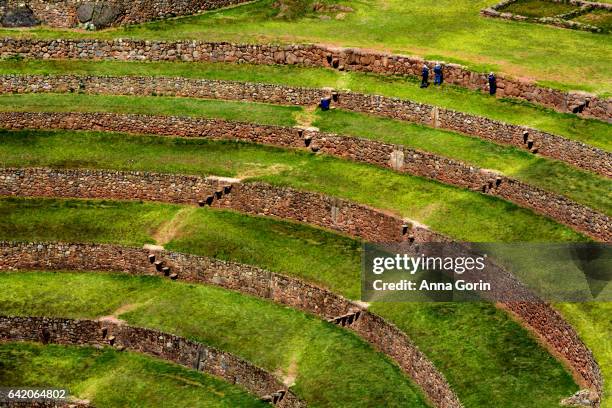 detail of workers maintaining stone walls of moray inca terraces on autumn afternoon, peru - moray inca ruin stock pictures, royalty-free photos & images