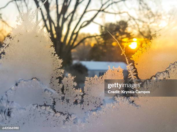 feathered ice crystals - wetter stock-fotos und bilder