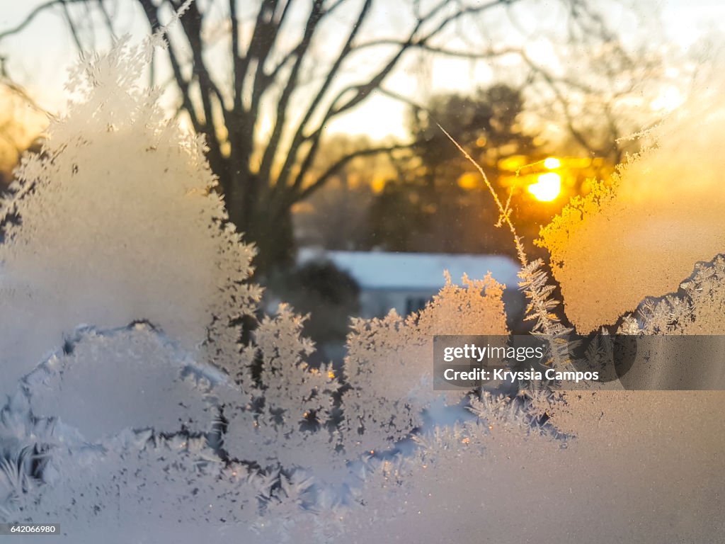 Feathered ice crystals