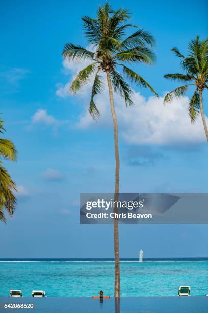 maldives pool - meeru island stock pictures, royalty-free photos & images