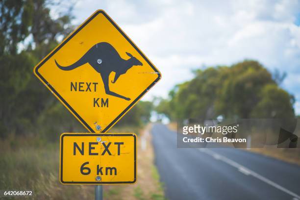 kangaroo road sign - road trip new south wales stock pictures, royalty-free photos & images