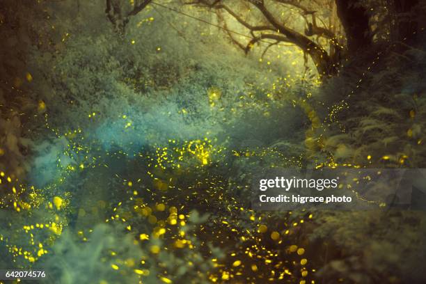 Infrared Night View Photos and Premium High Res Pictures - Getty Images