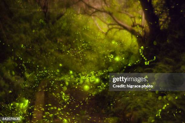 Infrared Landscape Photography Photos and Premium High Res Pictures ...