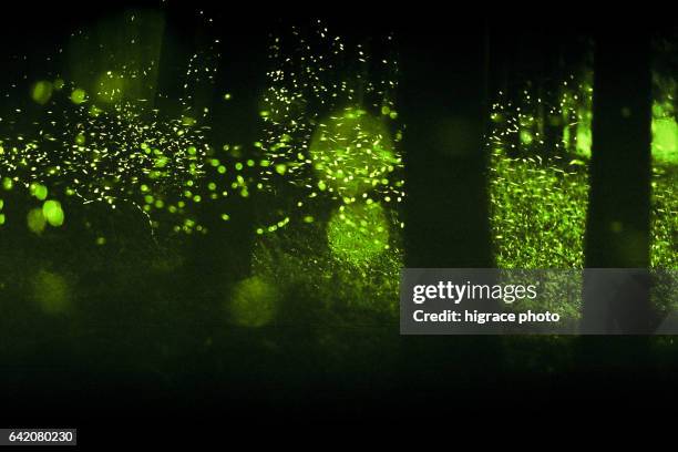 Infrared Night View Photos and Premium High Res Pictures - Getty Images