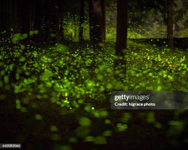 Infrared Rays Photos and Premium High Res Pictures - Getty Images