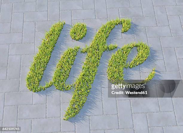 grass growing on concrete, life - assertiveness stock illustrations