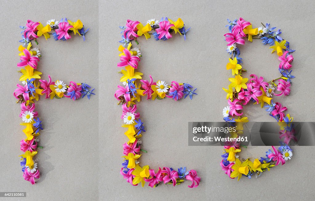 Flower arrangement building first three letters of february