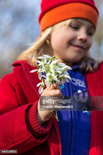 little girl holding snowdrops - snowdrops stockfoto's en -beelden