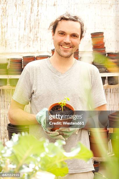 smiling man holding flowerpot with moringa seedling - moringa oleifera stockfoto's en -beelden