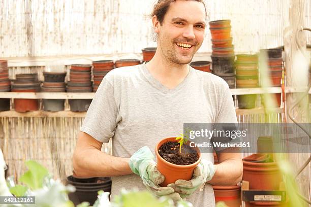 smiling man holding flowerpot with moringa seedling - moringa oleifera stockfoto's en -beelden