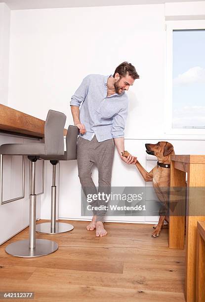 man with his rhodesian ridgeback in the kitchen - bloedhond stockfoto's en -beelden