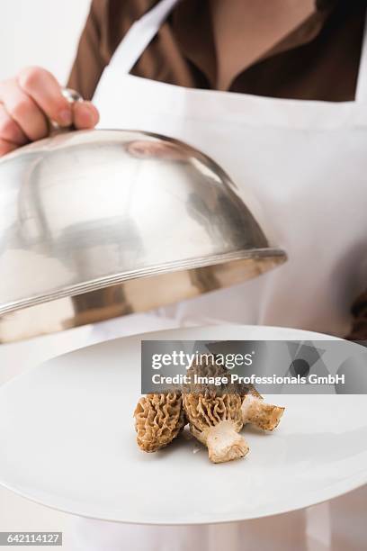 woman serving fresh morels on plate with dome cover - cloche stock-fotos und bilder