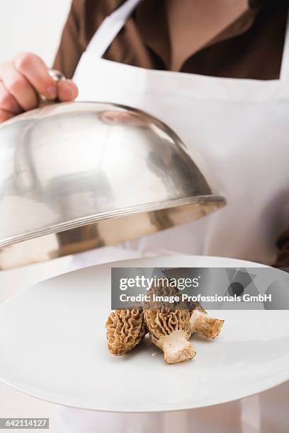 woman serving fresh morels on plate with dome cover - cloche stock pictures, royalty-free photos & images