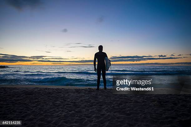 back view of surfer standing on the beach at sunrise - watching sunrise stock pictures, royalty-free photos & images