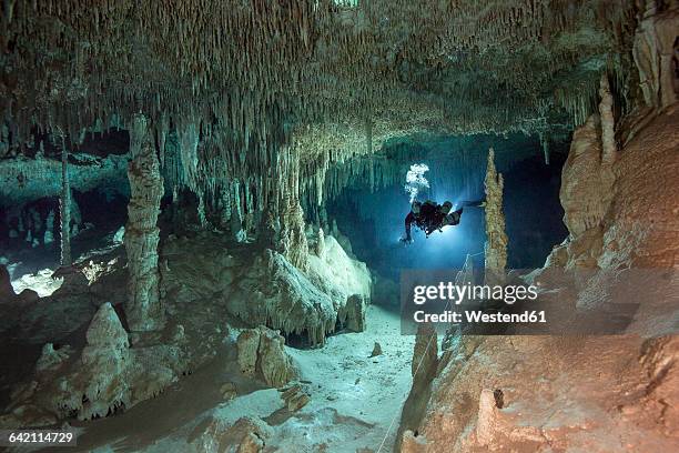 mexico, yucatan, tulum, cave diver in the system tux kubaxa - yucatan stock pictures, royalty-free photos & images