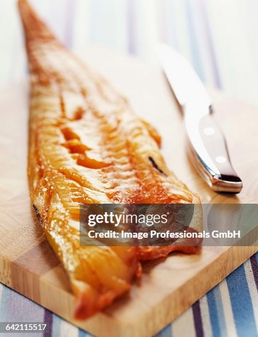 Haddock Haddock