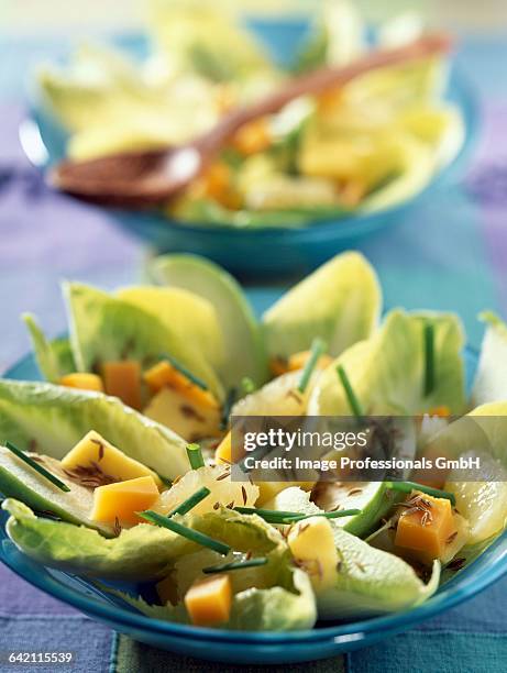 chicory salad with mango - mimolette stock pictures, royalty-free photos & images