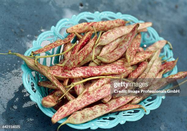 italian haricot beans - panier legumes stock pictures, royalty-free photos & images