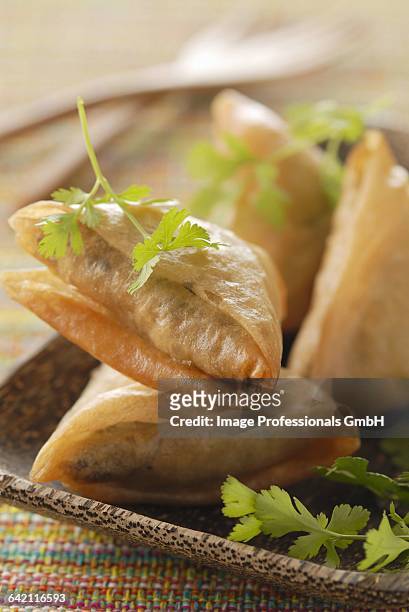 tuna,curry and coriander samossas - samosa stock pictures, royalty-free photos & images