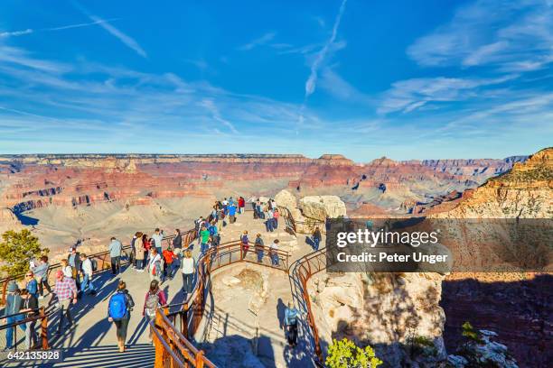 grand canyon national park, arizona, usa - grand canyon nationalpark stock pictures, royalty-free photos & images