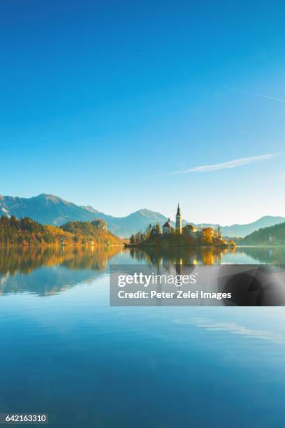 lake bled with the church dedicated to the assumption of mary, slovenia - lago di bled foto e immagini stock