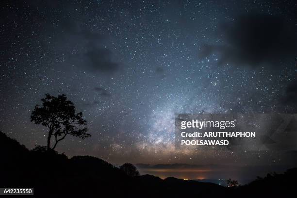 stars milky way with lonely tree , nature landscape of sky - nebulosa del águila fotografías e imágenes de stock