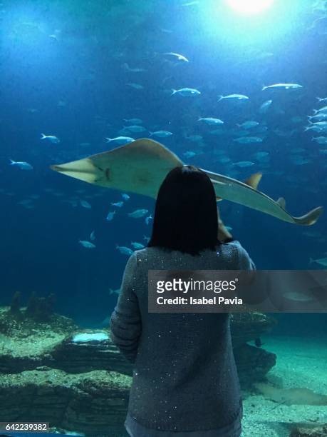woman at aquarium - dorso mano fotografías e imágenes de stock