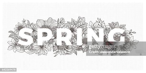 spring floral border - daisy border stock illustrations