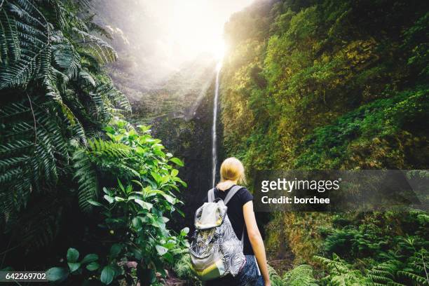 mujer caminante viendo la cascada en la isla de madeira - isla de madeira fotografías e imágenes de stock