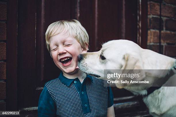 happy smiling little boy with pet dog - dog licking face stock-fotos und bilder