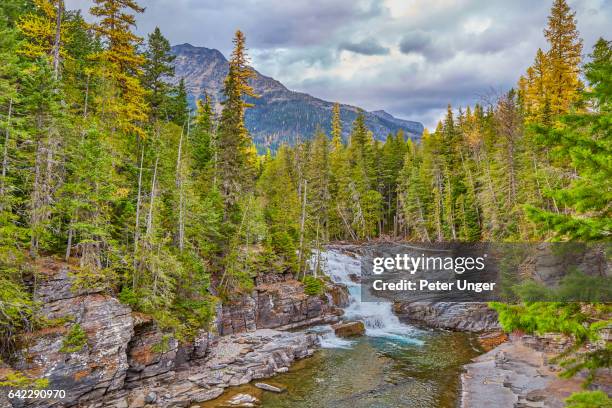 glacier national park,montana,usa - mcdonald creek stock-fotos und bilder