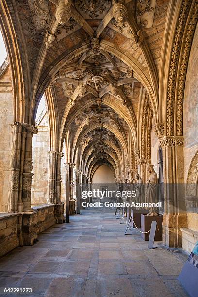 leon cathedral in spain - lancet arch fotografías e imágenes de stock