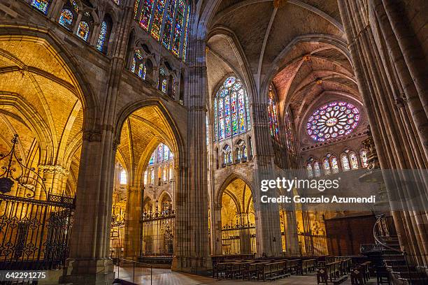 leon cathedral in spain - レオン県 ストックフォトと画像