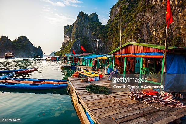 fishing village in halong bay - baia di ha long foto e immagini stock