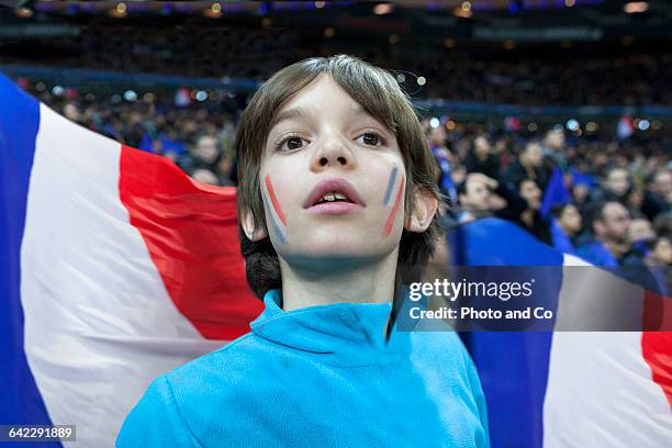 french fan enjoy the atmosphere - french football fotografías e imágenes de stock