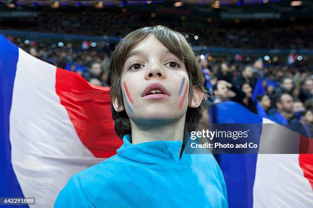 french fan enjoy the atmosphere - france supporter stock pictures, royalty-free photos & images