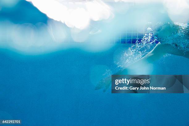 man swimming in pool, underwater shot - swimming free style pool stock pictures, royalty-free photos & images