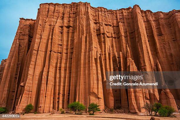 talampaya national park in argentina - la rioja foto e immagini stock