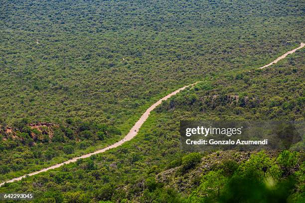 los llanos de la rioja in argentina - argentina dirt road panorama stock pictures, royalty-free photos & images