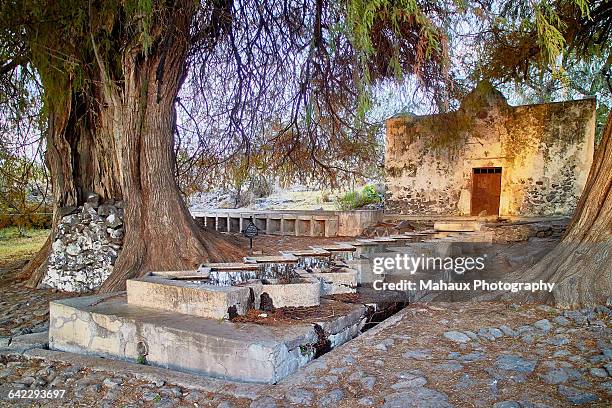 the washtub from 1885 in huichapan - hidalgo stock pictures, royalty-free photos & images