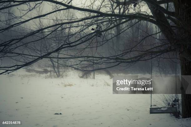 tree swing in winter - ada township michigan stock pictures, royalty-free photos & images